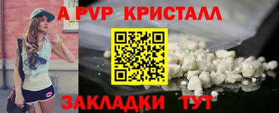 прущие крисы Кингисепп