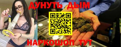 прущие крисы Кингисепп