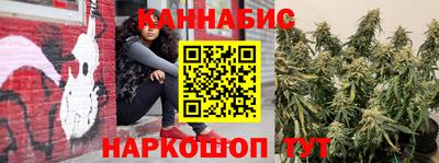 прущие крисы Кимры