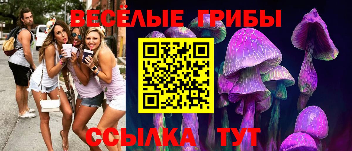 Коркино  Псилоцибиновые грибы мухоморы  Вход с VPN 
